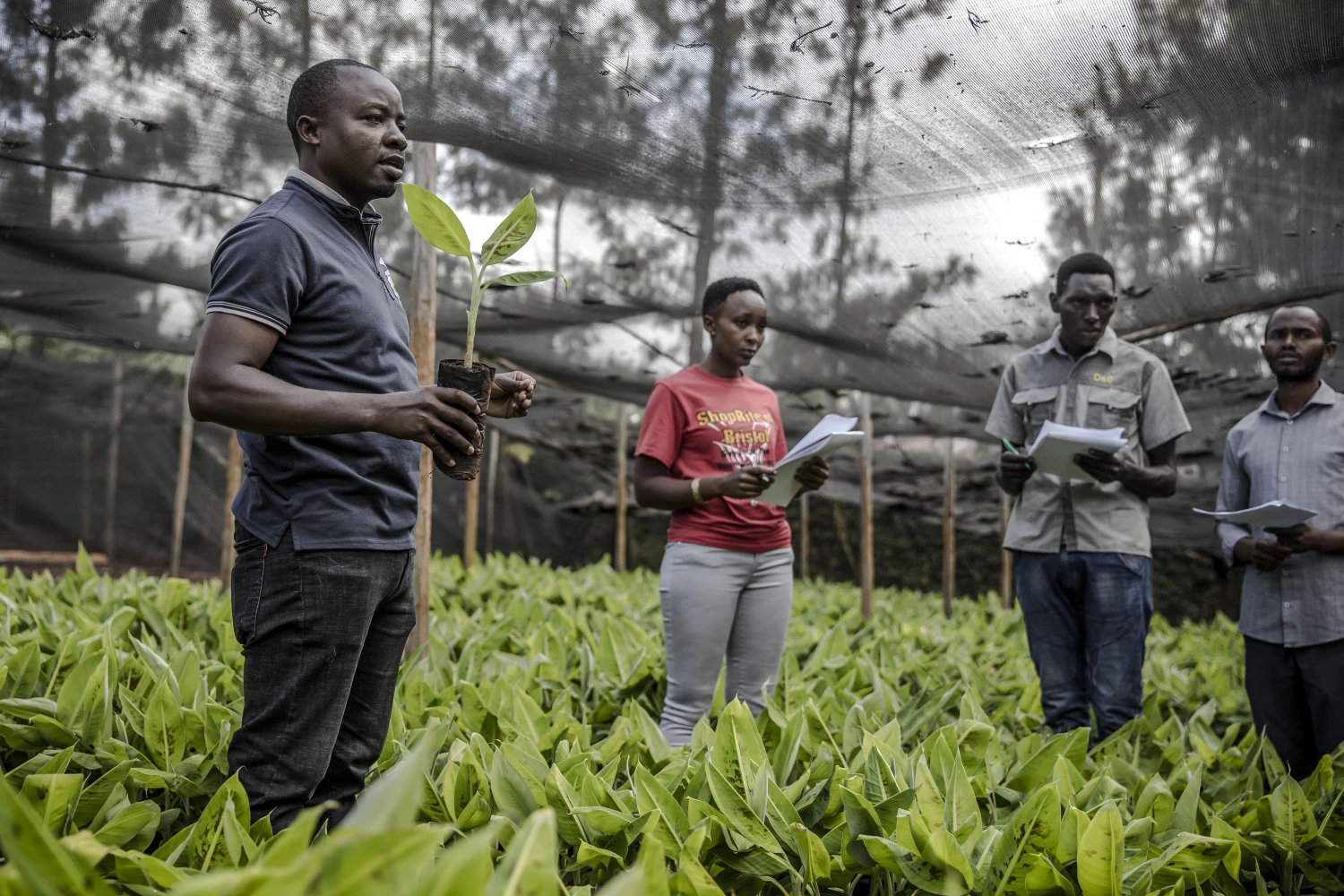 Women and Youth in agri-environmental businesses